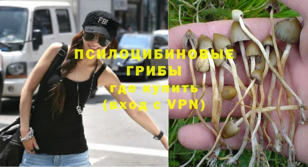 амф Белокуриха